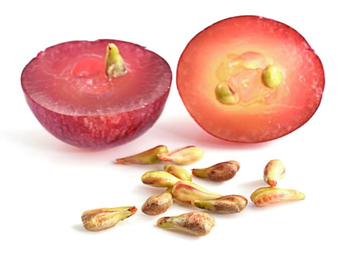 Extracto semillas de uva como tratamiento cancer