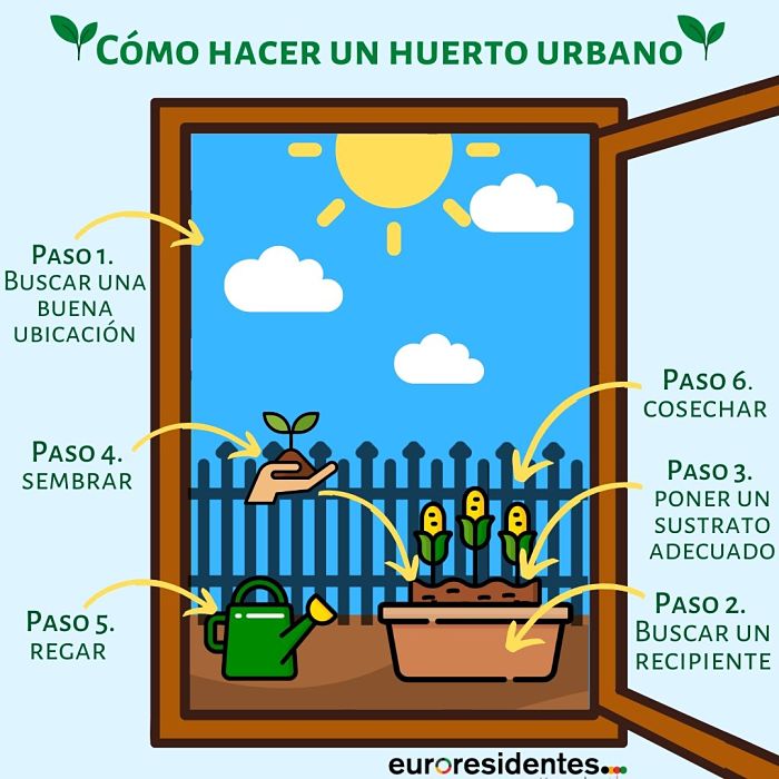 Cómo hacer un semillero paso a paso para tu huerta en casa