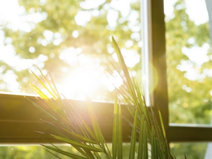 Spring decoration, keep windows clean