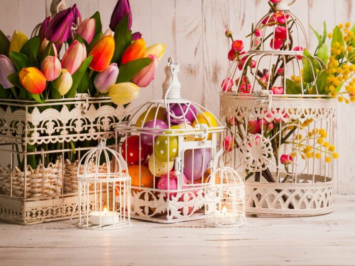 Flowers to decorate in spring