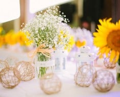 Organizar boda original