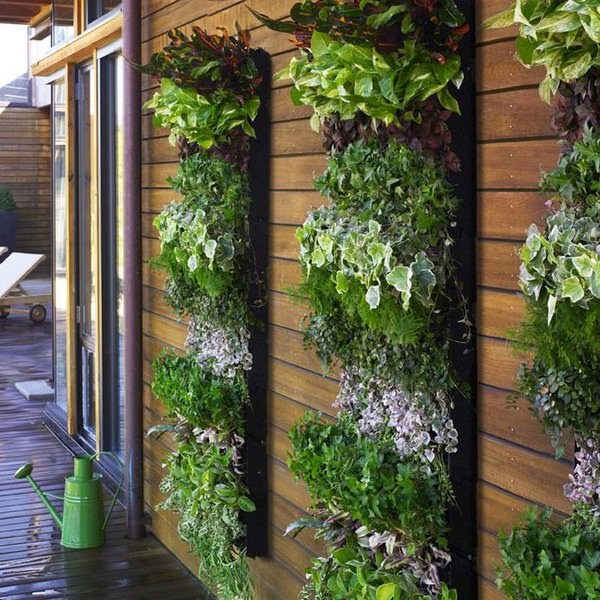 Mathis los padres de crianza Conciencia 20 ideas sorprendentes para hacer jardines verticales en casa - Decoracion  en el hogar