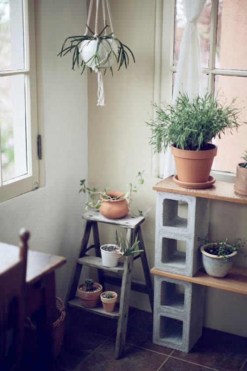Idea para decorar con macetas y plantas