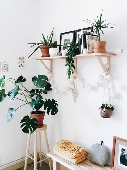 ideas para poner macetas en casa