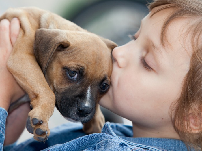 Importancia adoptar