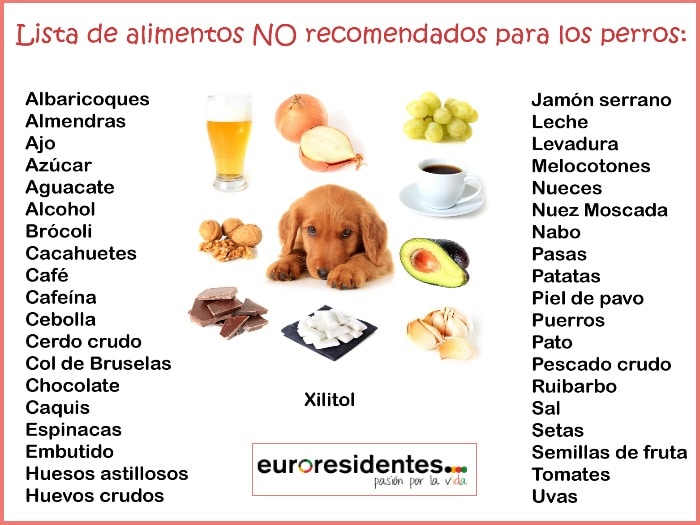 Alimentos malos para los perros