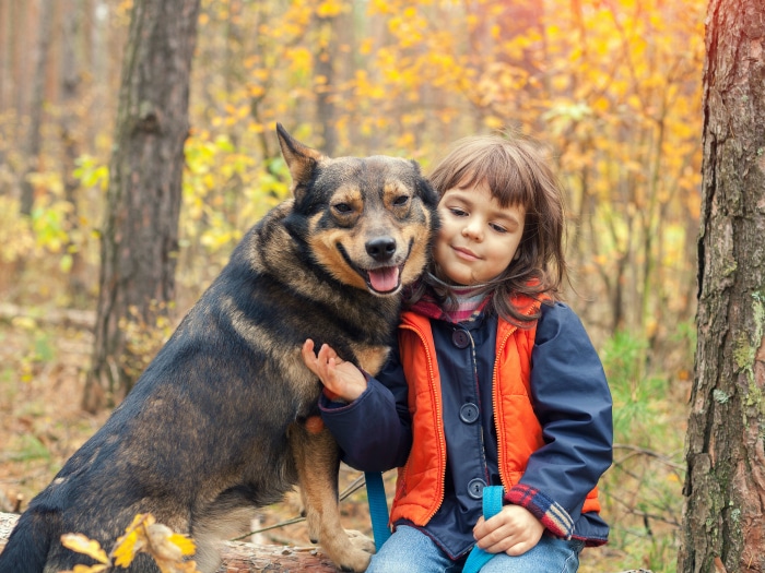 Beneficios perros y niños