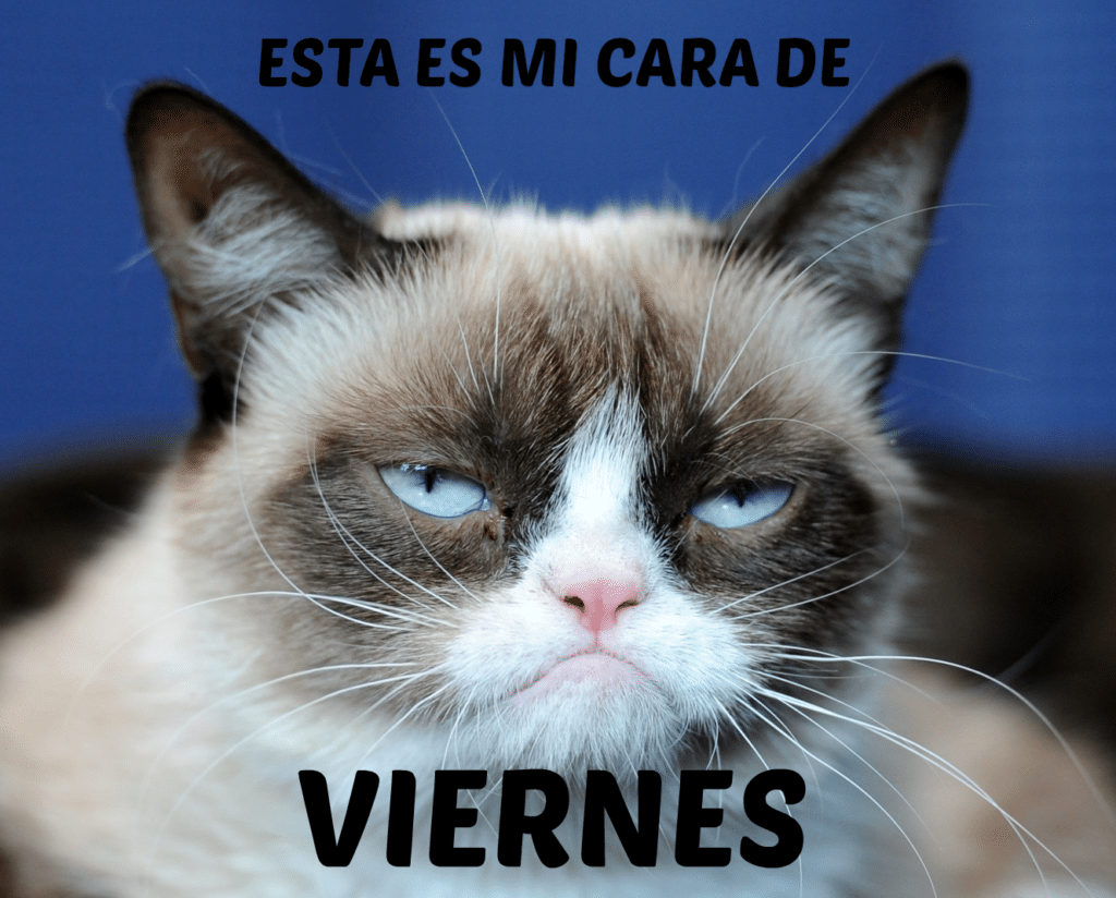 Imgenes Gatunas De Feliz Viernes