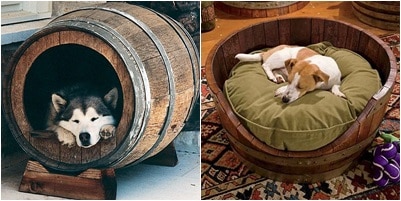 cama-y-caseta-para-mascotas-hecha-con-barriles-Evolucion-Verde