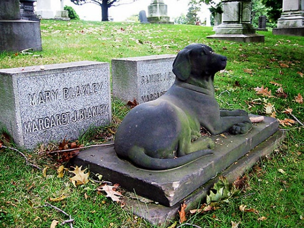 Sur Mentor Trasplante Cementerios de Mascotas: Donde descansan nuestros animales