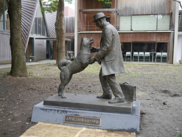 Hachiko