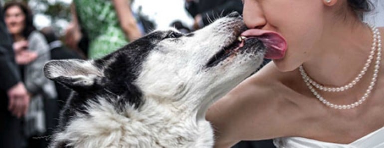 Beso perro
