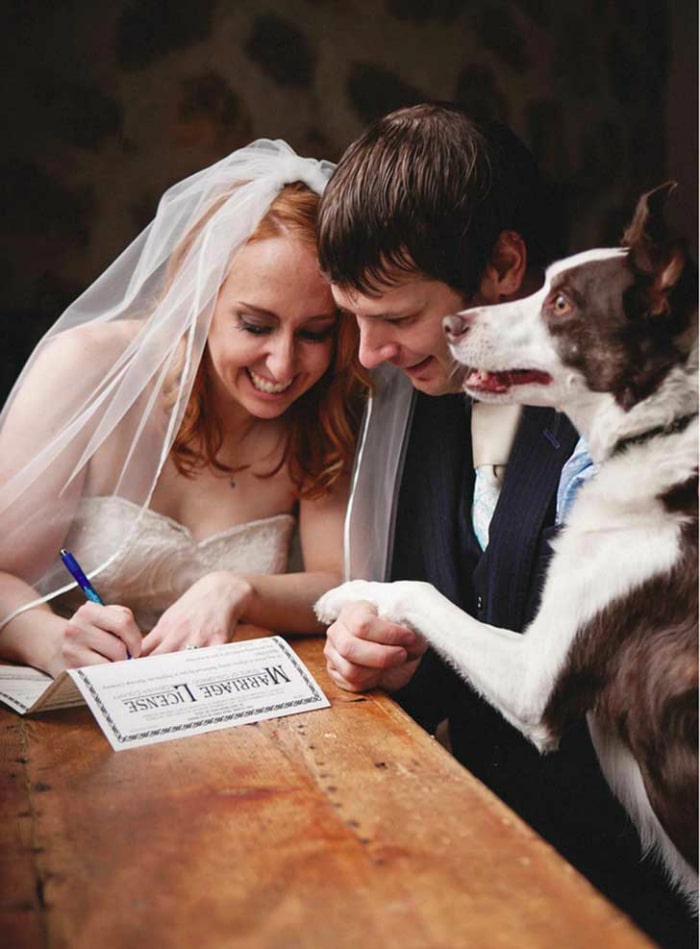boda-perro-firma