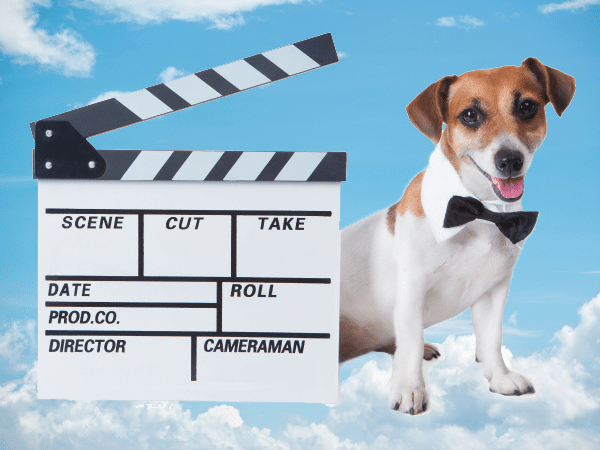 Las mejores películas protagonizadas por animales - Todo 