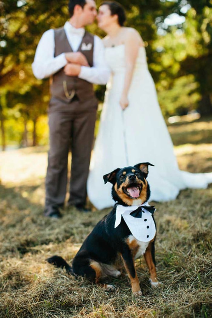 protagonista-boda