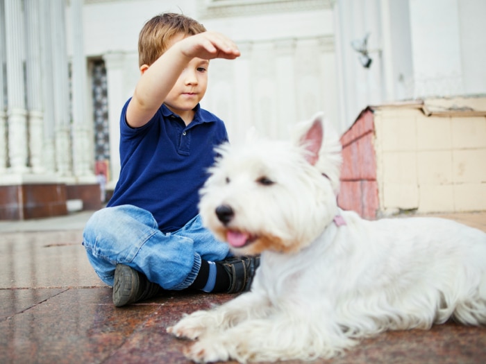 Niño autista interactuando con perro