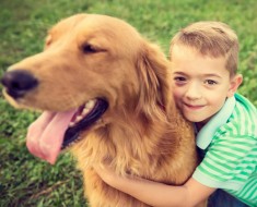 Amistad perro y niño autista