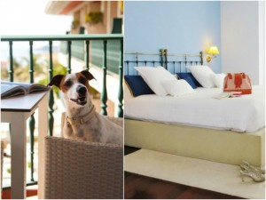 Augusta spa resort mascotas