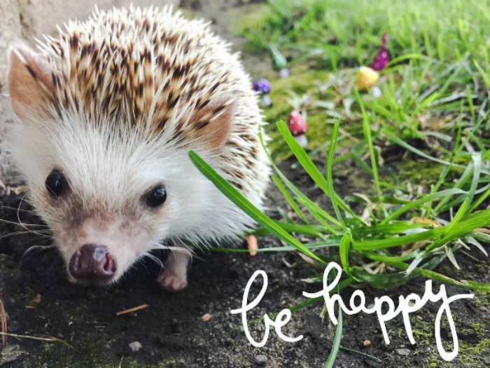 Huff be happy