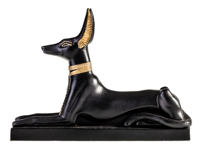 Anubis podencos