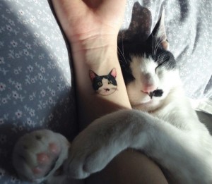 Gato tattoo