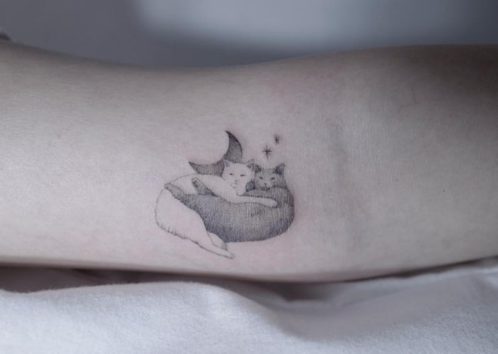 Gatos abrazados tatuaje