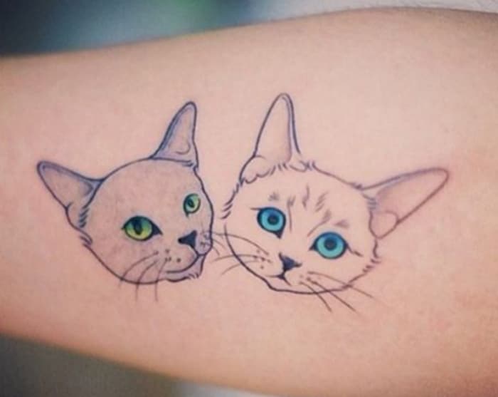Gatos cabeza tatuaje