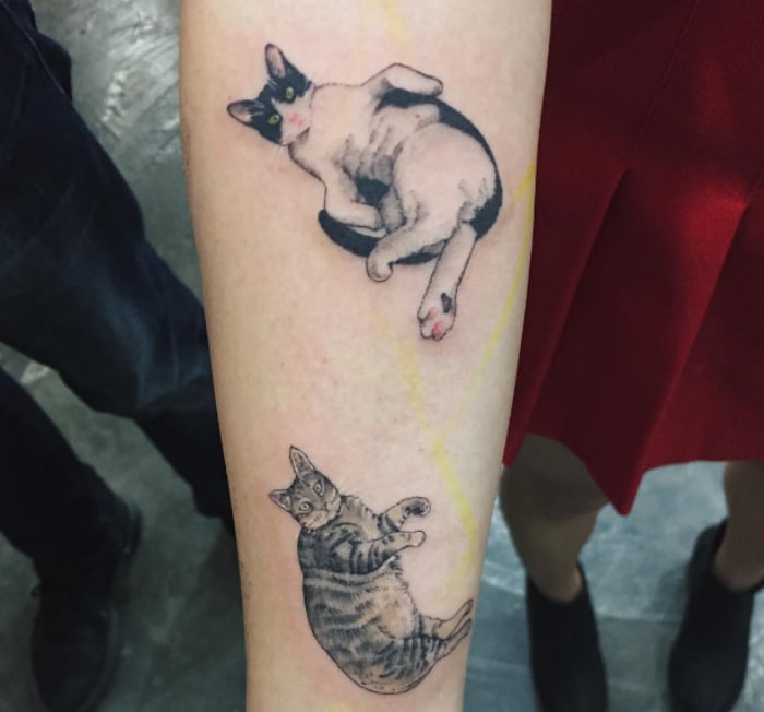 Gatos realistas tatuajes