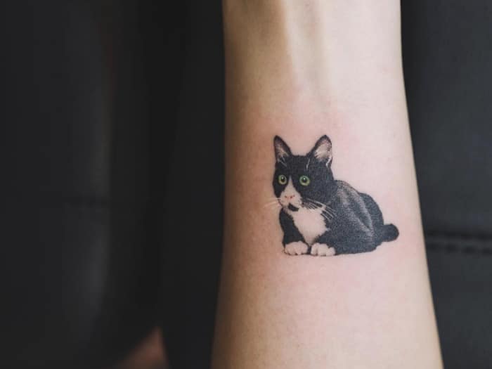 Tatuaje gatito