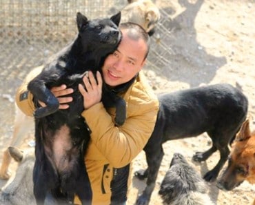 Millonario chino salva perros granjas carne