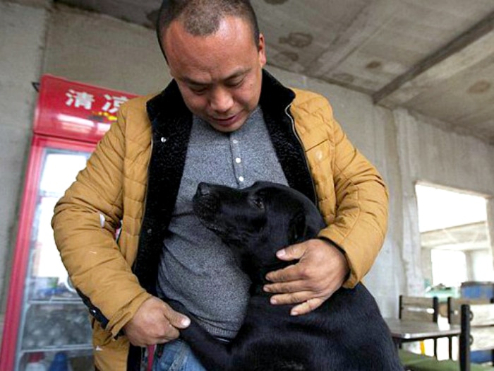 Millonario chino gasta su fortuna salvando perros