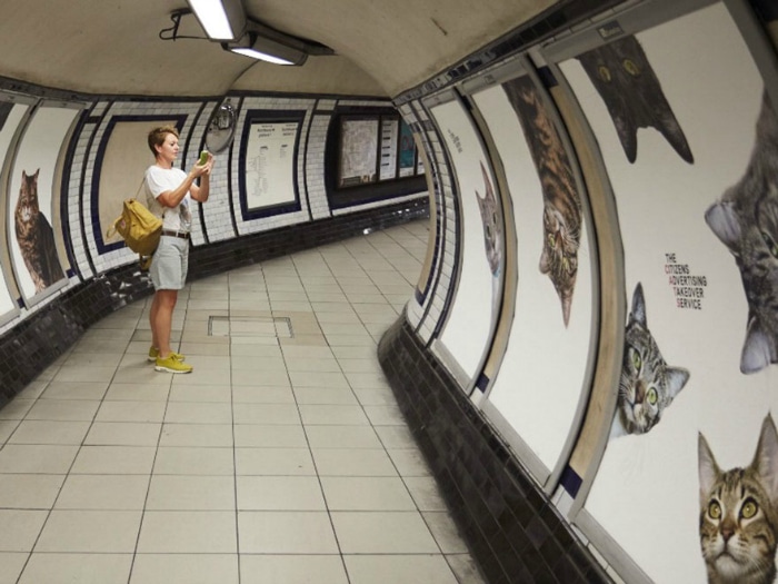 Carteles de gatos en el metro de Londres