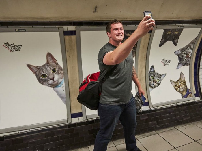 Carteles de gatos en el metro de Londres