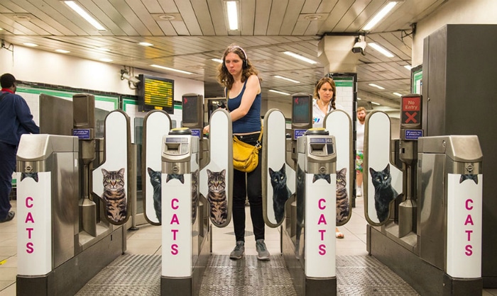 Carteles de gatos en el metro de Londres