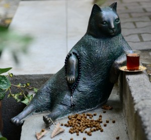 Gato famoso meme estambul sentado