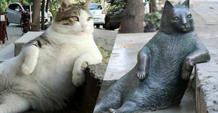 Gato meme famoso sentado estatua