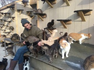 hombre crea santuario gatos