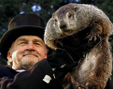 Día de la marmota 2017