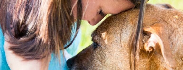 Los perros sienten el dolor humano