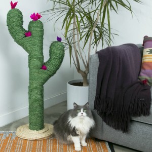 Rascadores originales gatos cactus
