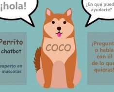 coco chatbot mascotas