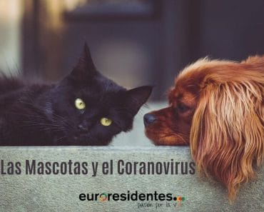 Coronavirus y mascotas ¿cómo les afecta?