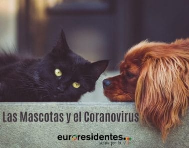 Cómo afecta el Coronavirus a nuestras mascotas