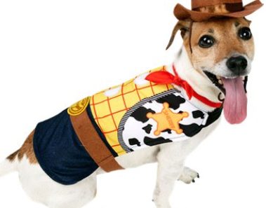 Perro disfrazado de Toy Story