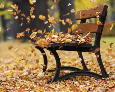 Cómo preparar tu jardín para las tormentas