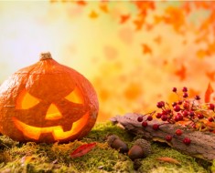 11 ideas para decorar calabazas de halloween