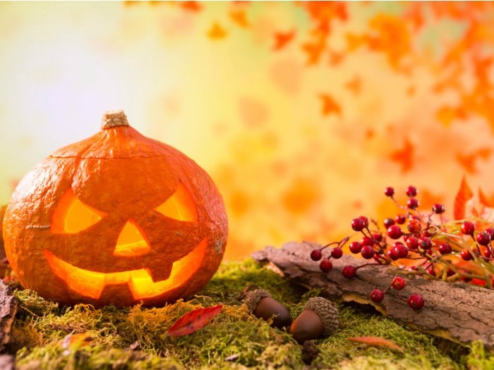 11 ideas para decorar calabazas de halloween