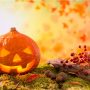 11 ideas para decorar calabazas de halloween