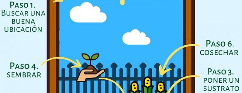 Cómo hacer un huerto urbano en 6 sencillos pasos