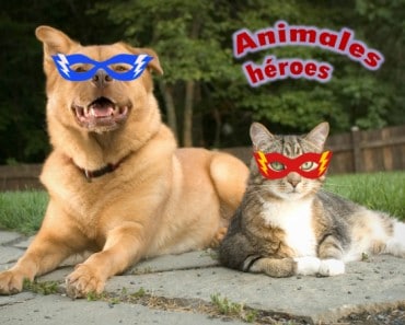 Animales que son héroes
